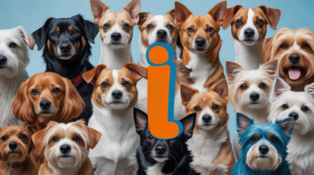 Inspiring Dog Names That Start with I